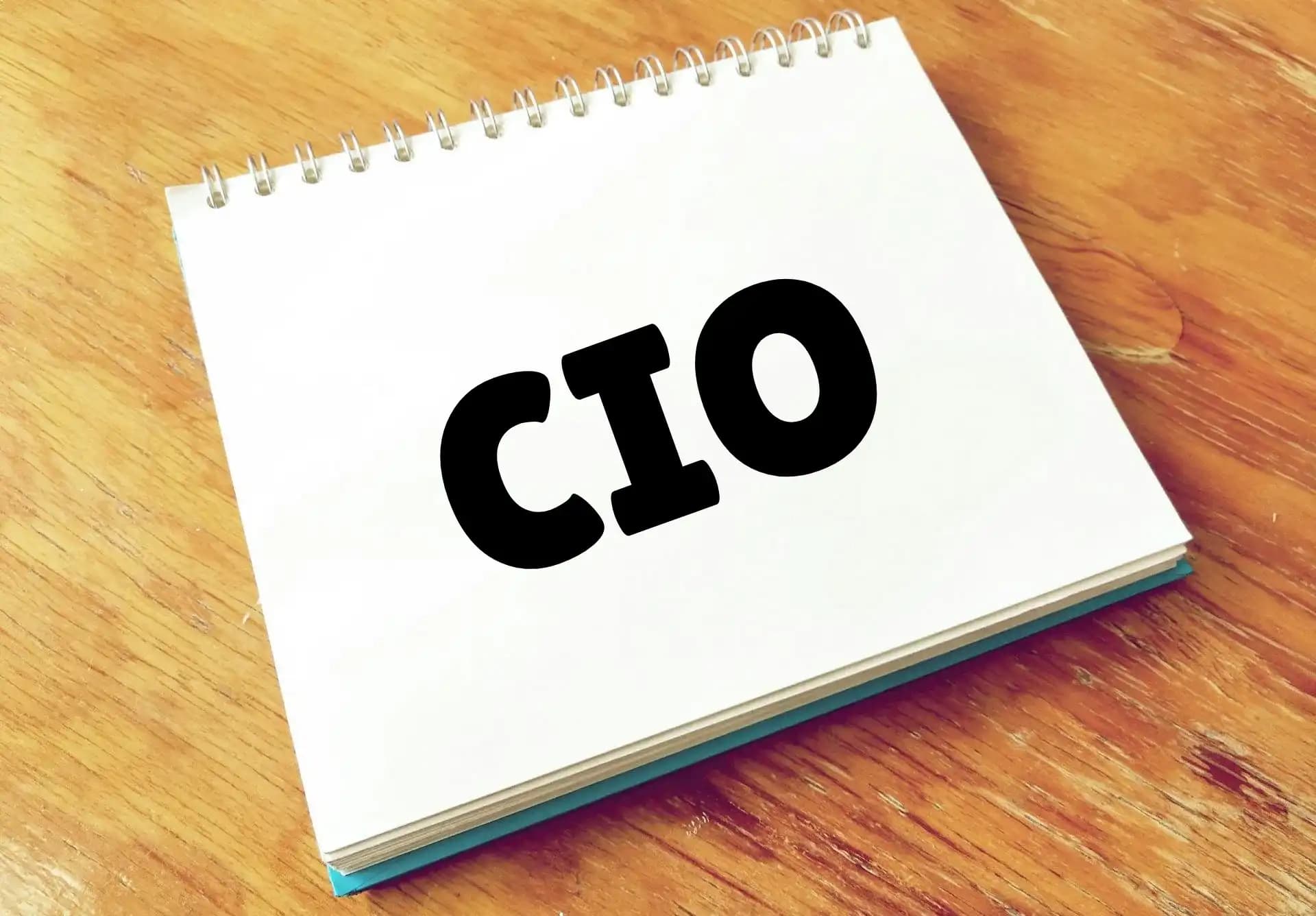 Chief Information Officer (CIO)