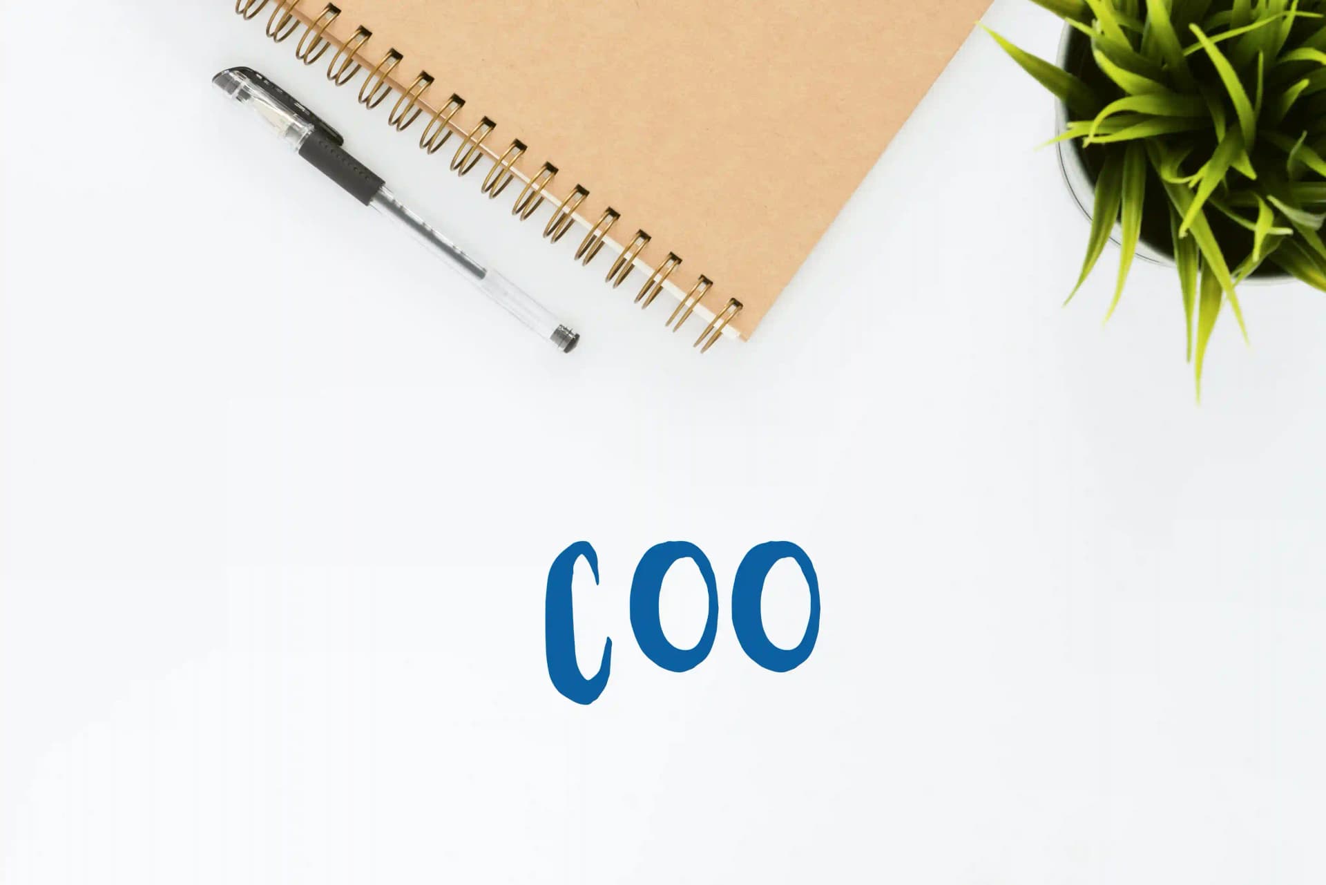 Chief Operating Officer (COO)